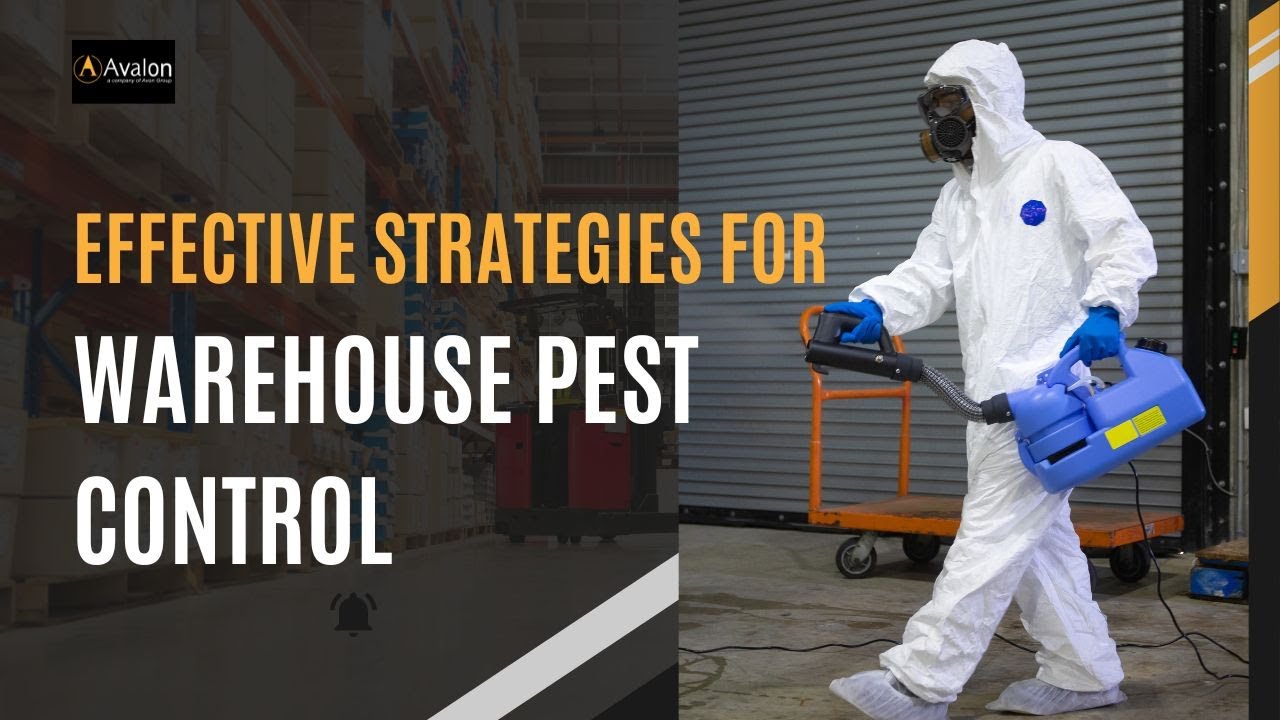 Effective Strategies for Warehouse Pest Control
