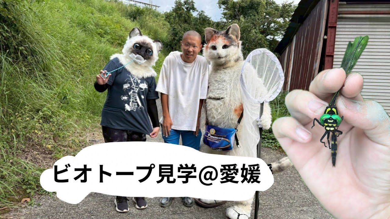 昆虫採集フリースタイル旅⑦【愛媛県でビオトープ見学】