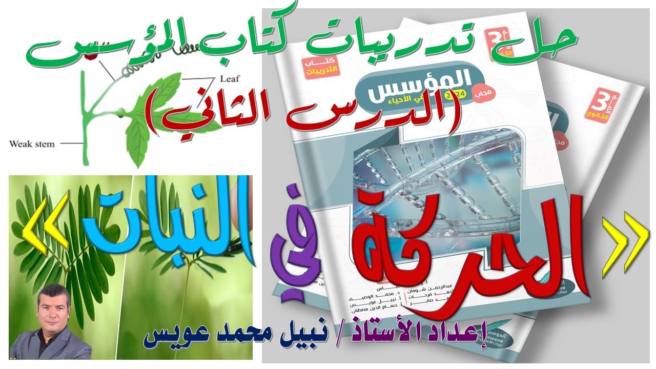 حل تدريبات كتاب المؤسس 2024 على الحركة في النبات لطلاب الثانوية العامة