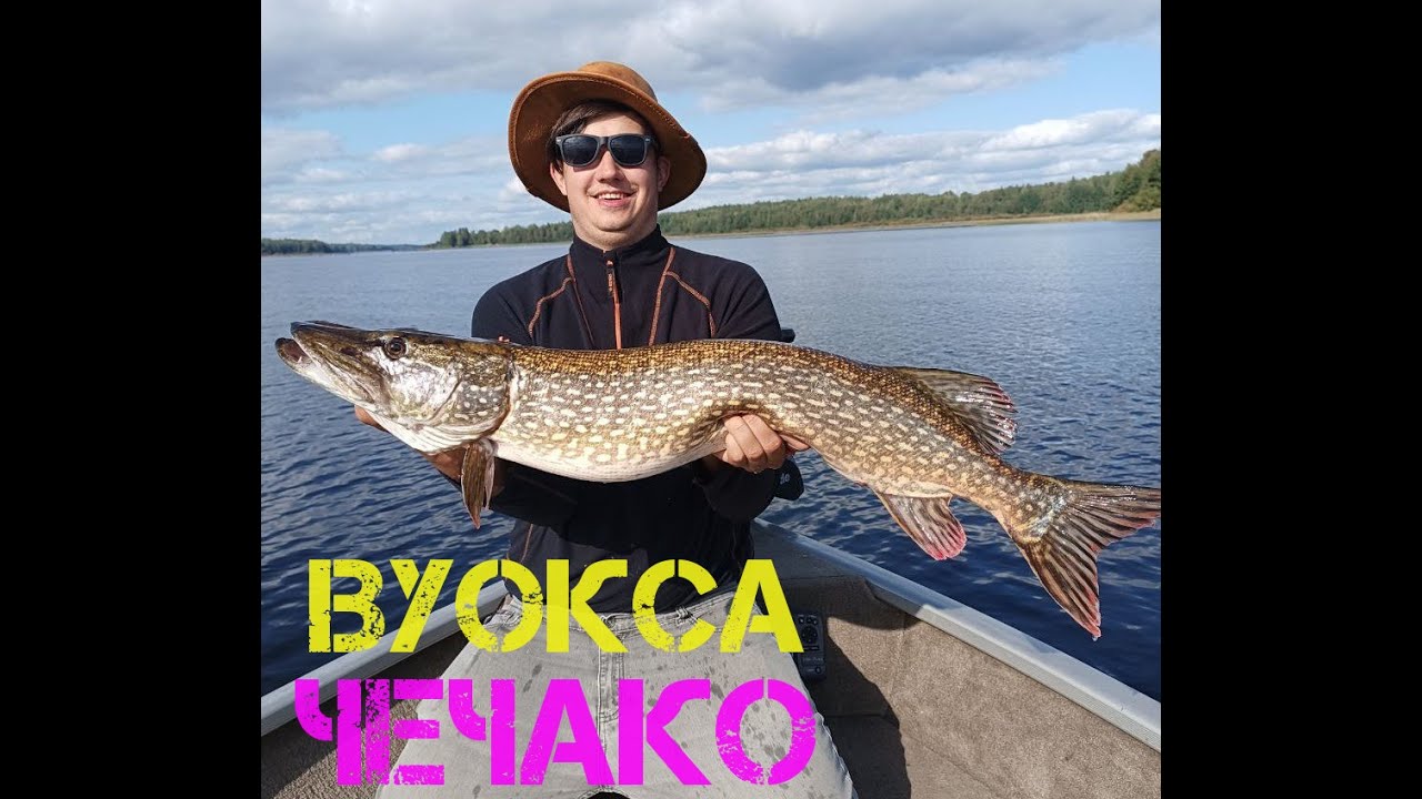ПОЙМАЛ РЕКОРДНУЮ ЩУКУ!!! СКАЗ О ТОМ, КАК МЫ НА РЕКЕ ВУОКСА PANOPTIX LIVESCOPE ИЗУЧАЛИ. ЛОВЛЯ С ГИДОМ