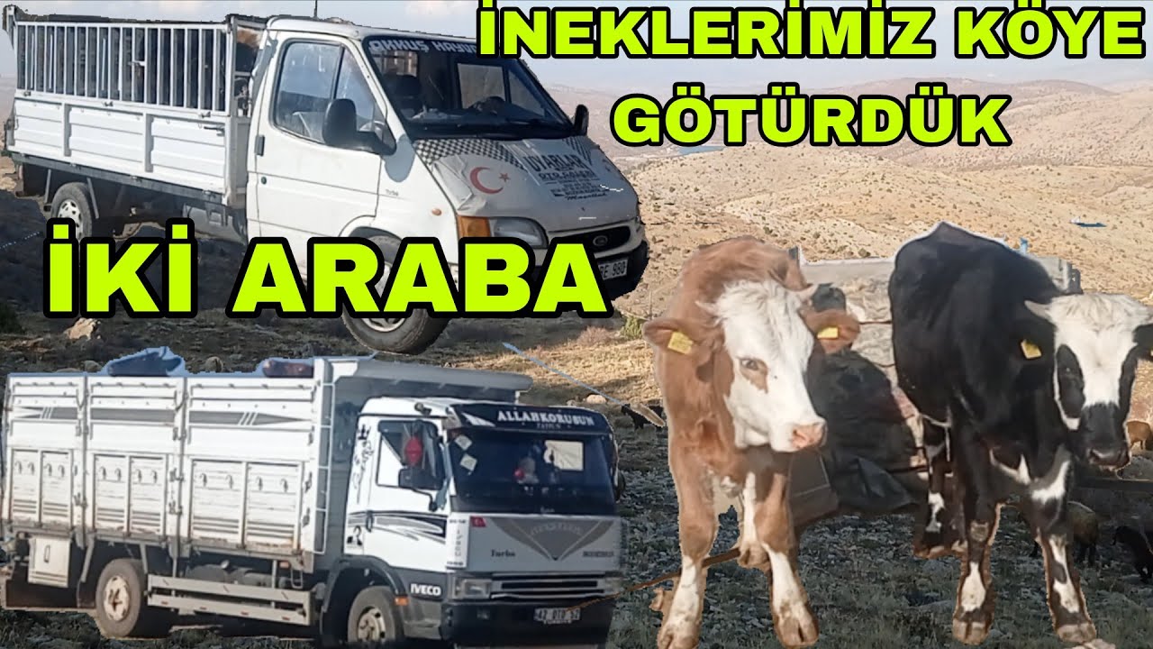 TOROS DAĞLARIN DA SON KEZ ÇAY İÇTİM İNEKLER KÖYE GİTTİ TARİHİ TOSUN TAŞI YAYLASI