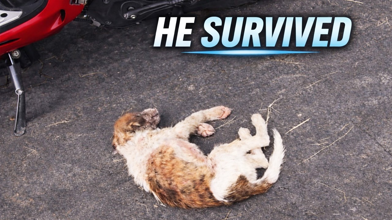He Came from the Brink of Collapse Into a Future Filled With Care and Hope