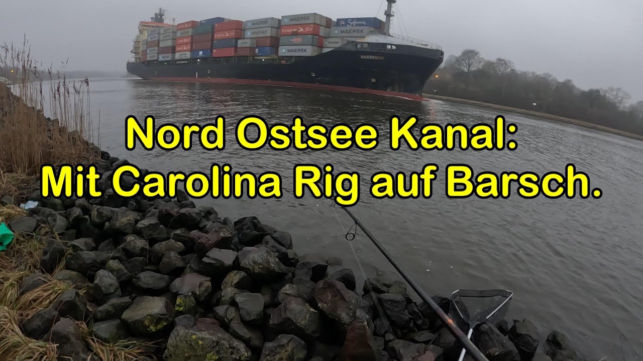 Barsche am Nord Ostsee Kanal -  Ein Versuch mit Carolina Rig