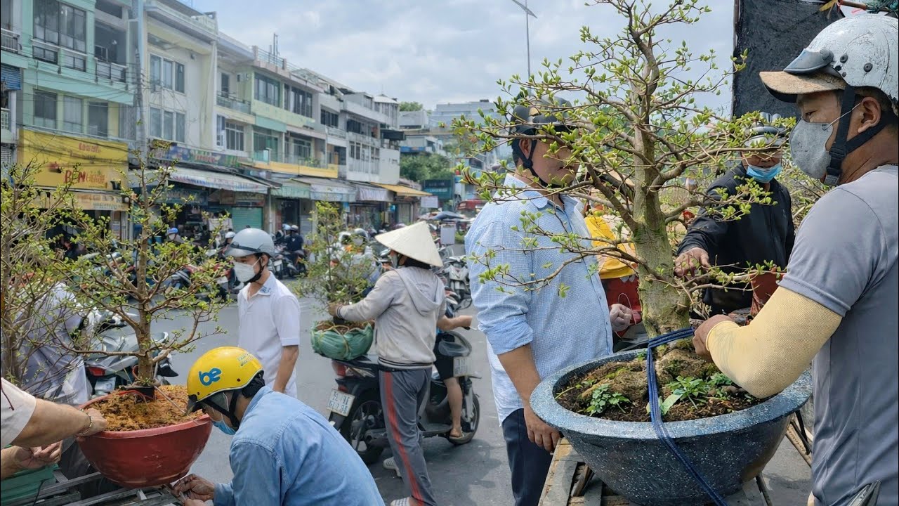 Chưa bao giờ Mai Lại Rẻ Như Năm Nay Chợ Hoa Bến Bình Đông Chiều 23 Tết nhà vườn vui vẻ