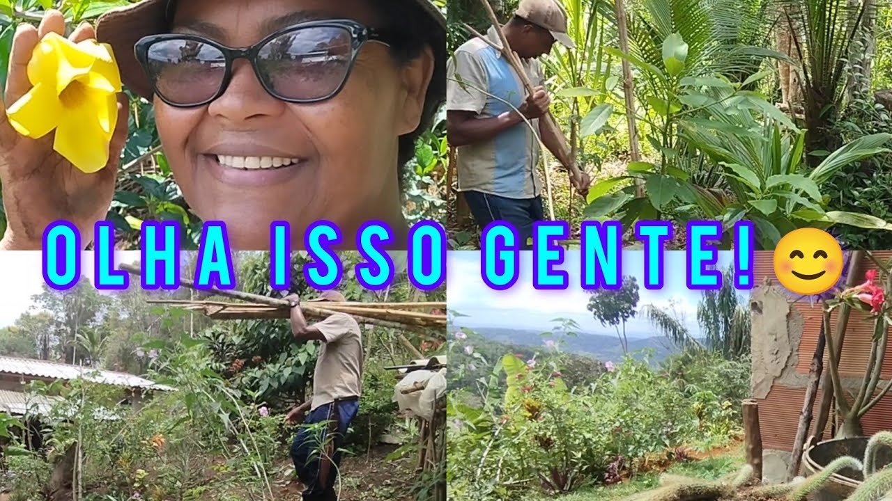 Replantes 🪴/jardim 🥀no quintal 🌵🌲
