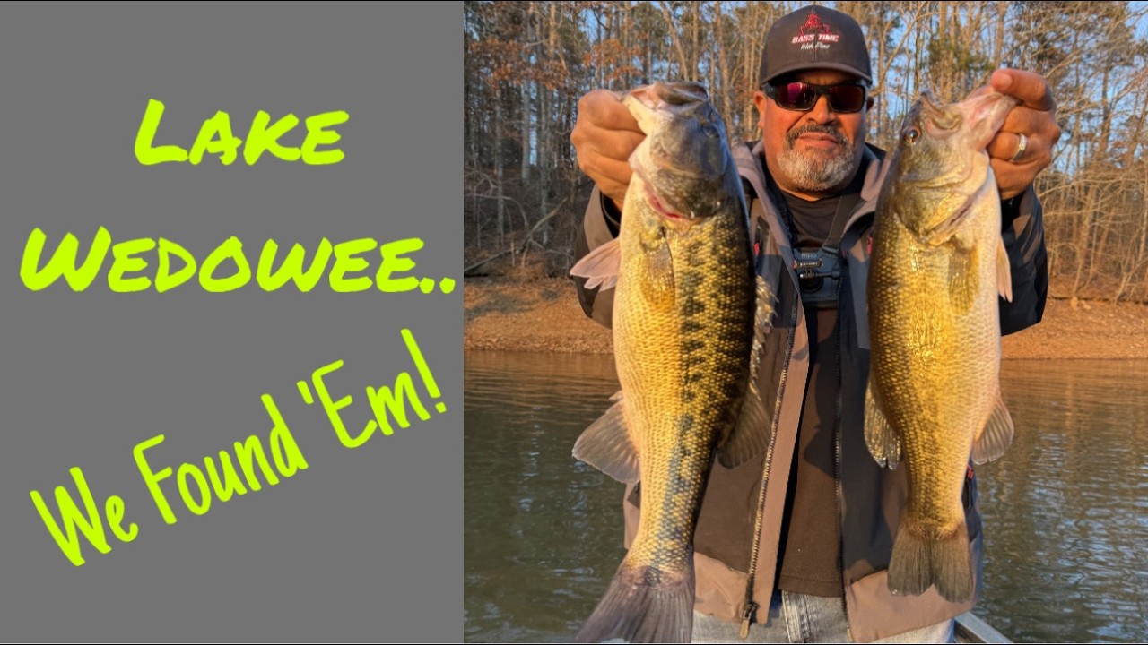 Lake Wedowee Ditch Fishing