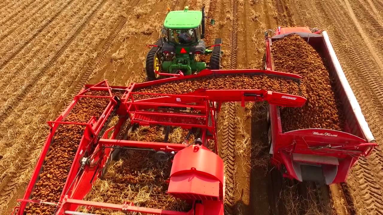 Idaho Potato Harvest 2015 - Wada Farms