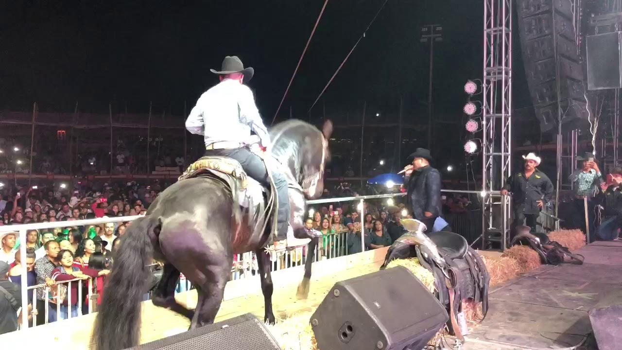 El Famoso Y Impresionante Caballo Picaron Chito Tuza y Chuy Lizarraga