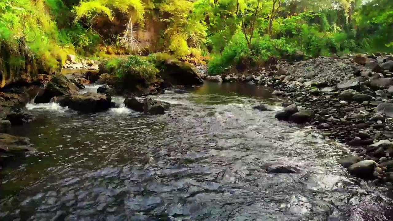 Nature’s River Flow – Emotional Healing for Stress, Anxiety and Calm Sleep