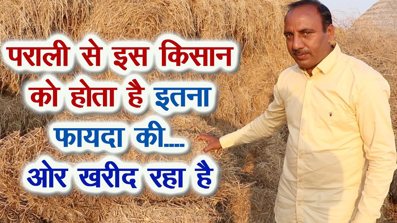 ऑर्गेनिक फार्मिंग में पराली का कमाल देखिए, हर साल पराली खरीदता है यह किसान Organic farming