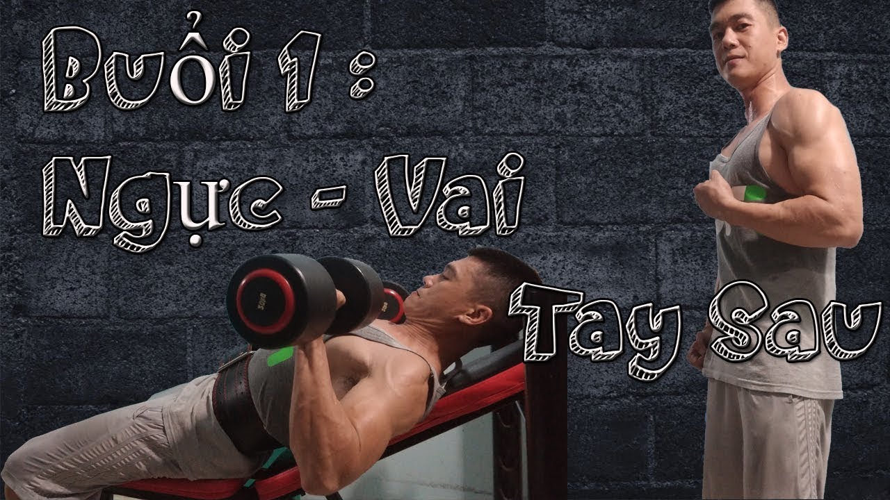 Lịch tập và giáo án cho người mới tập Gym | Buổi 1 : Ngực - Vai - tay sau | Nguyễn Hoàng Gym