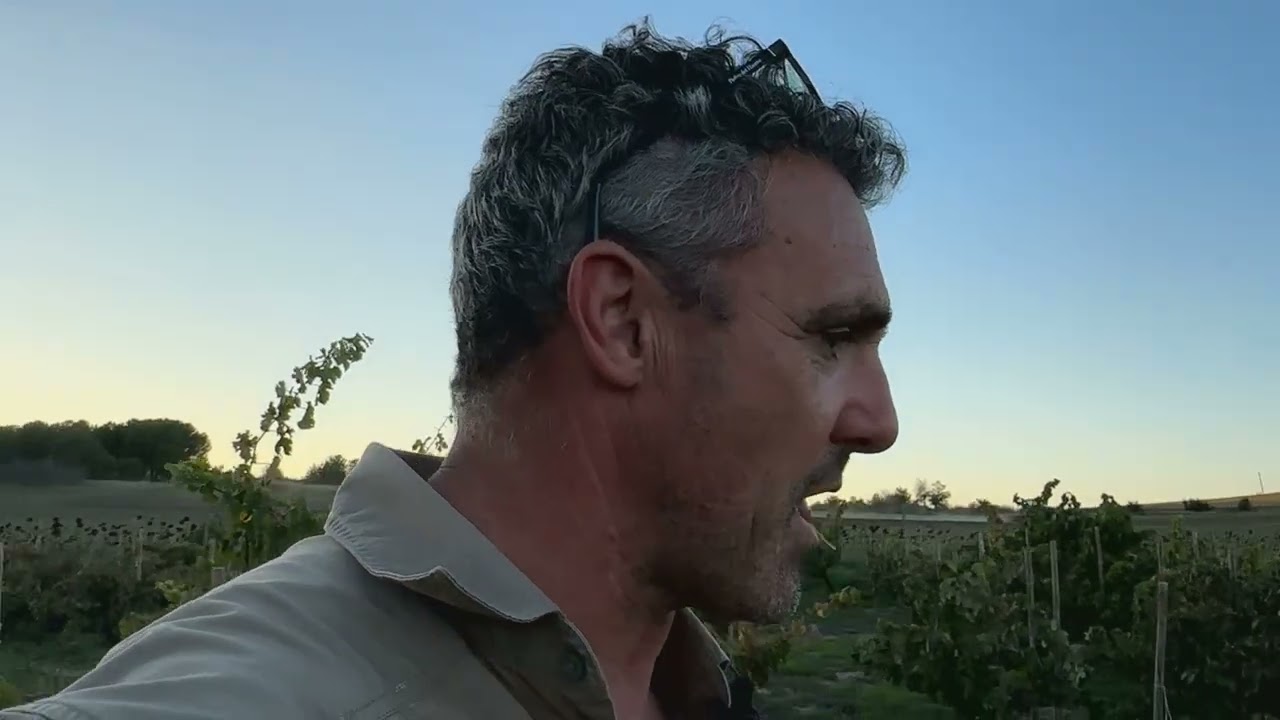 Como dar estructura a un suelo que no la tiene.
