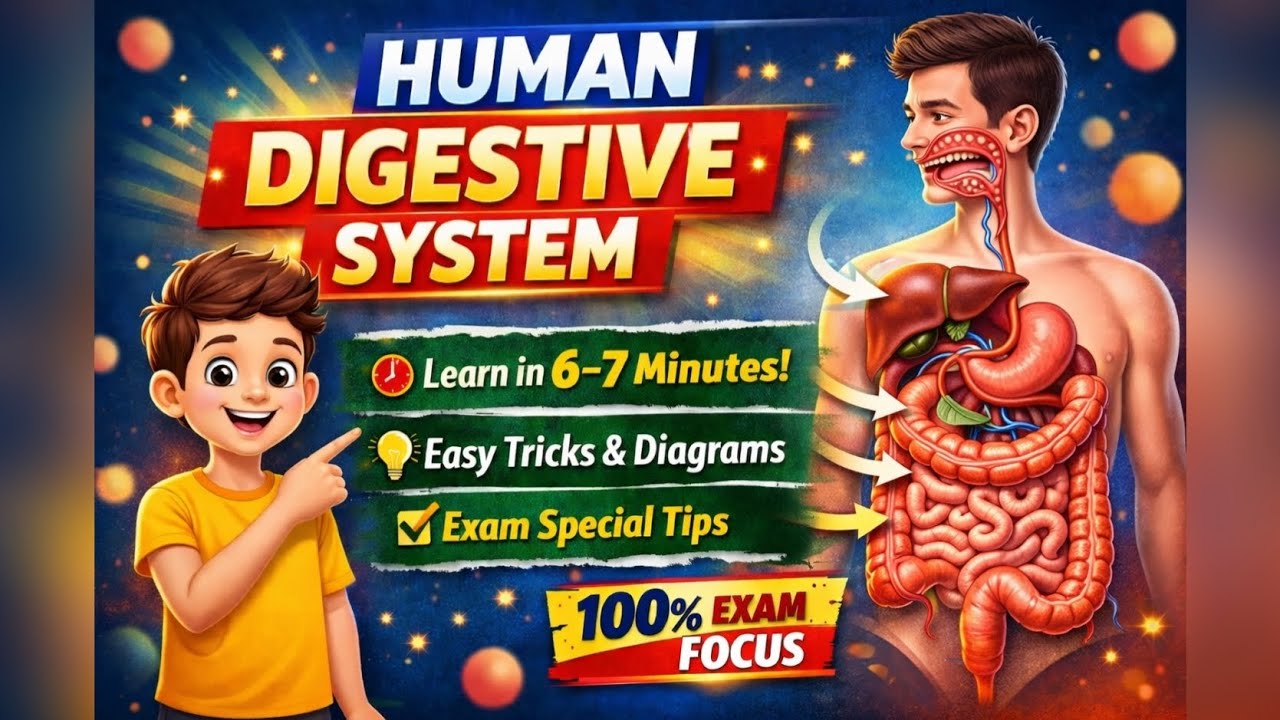 🎯Human Digestive System in 6–7 Minutes | Easy Tricks & Diagram | Exam Special (CTET/TET/GIC/School)