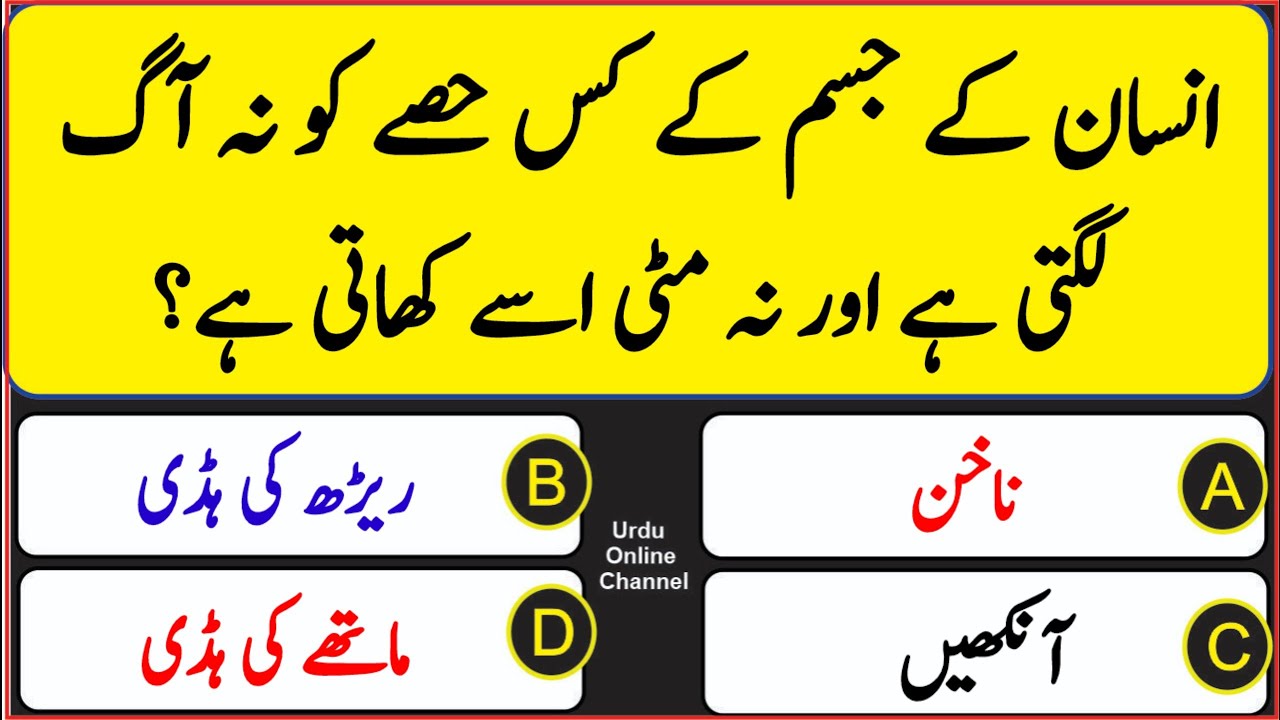 Islamic Common Sense Paheliyan and General Knowledge Question Answers || Sawal Jawab #islam #quran