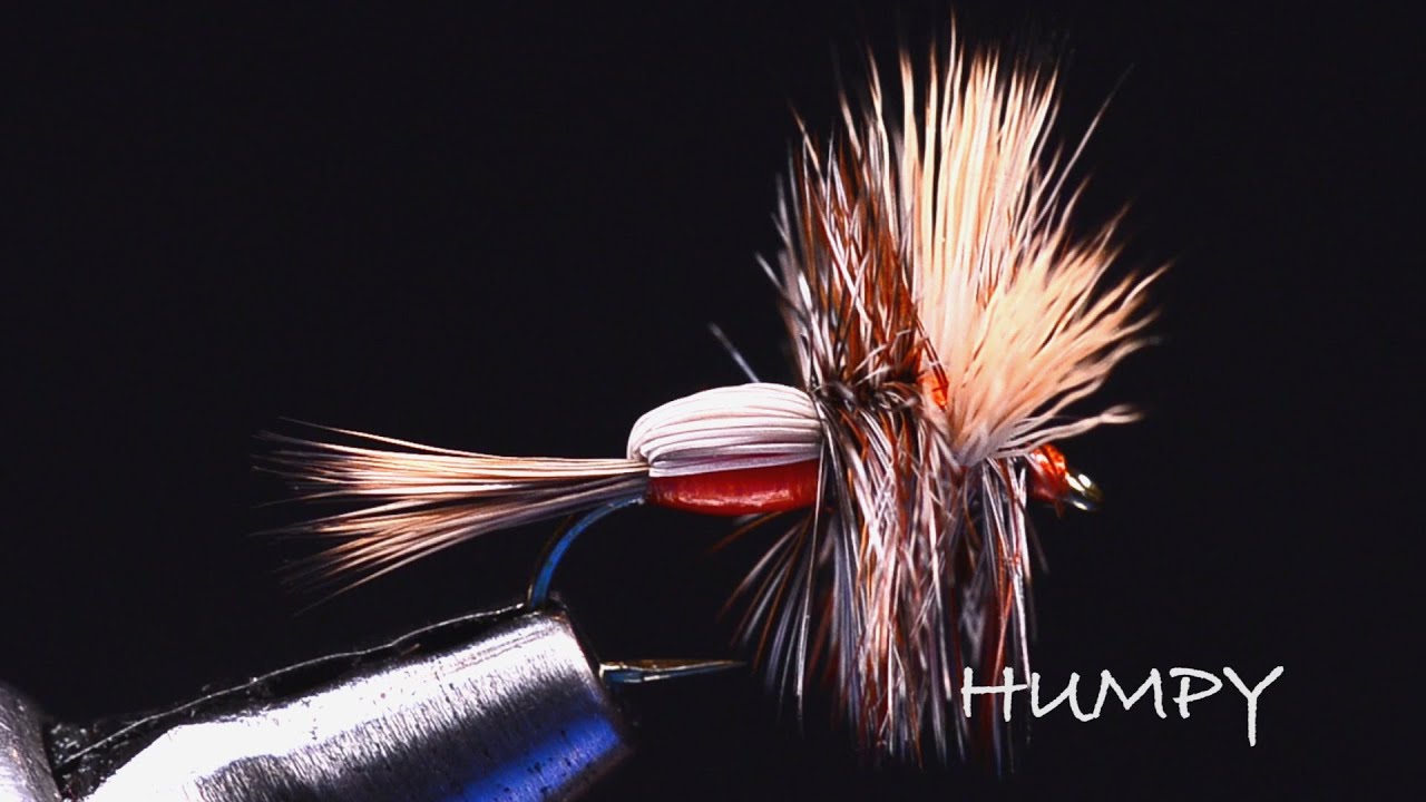 Humpy by Charlie Craven