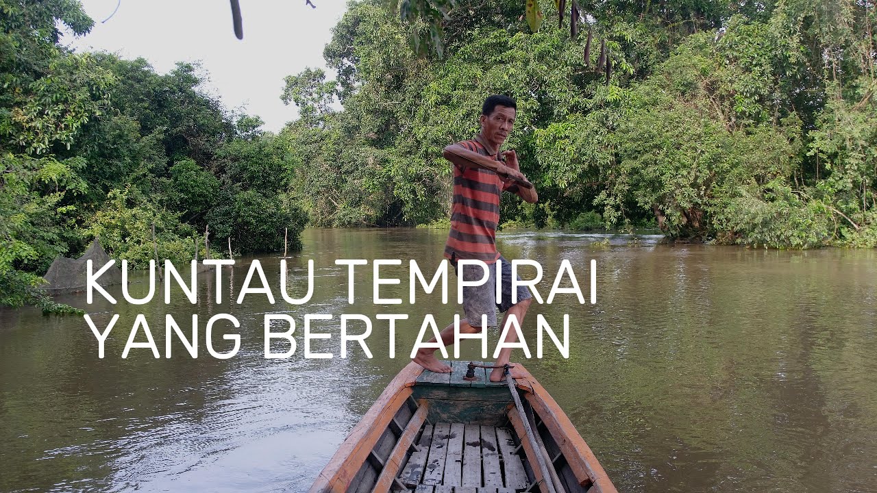KUNTAU TEMPIRAI YANG BERTAHAN I South Sumatra