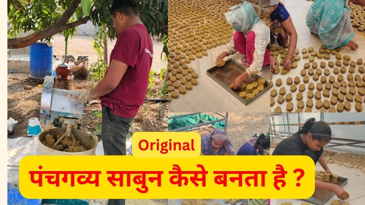 जानिए ओरिजिनल पंचगव्य साबुन कैसे बनता है ?  निसर्ग ऑर्गेनिक फार्म मै | Original Panchagavya Soap |
