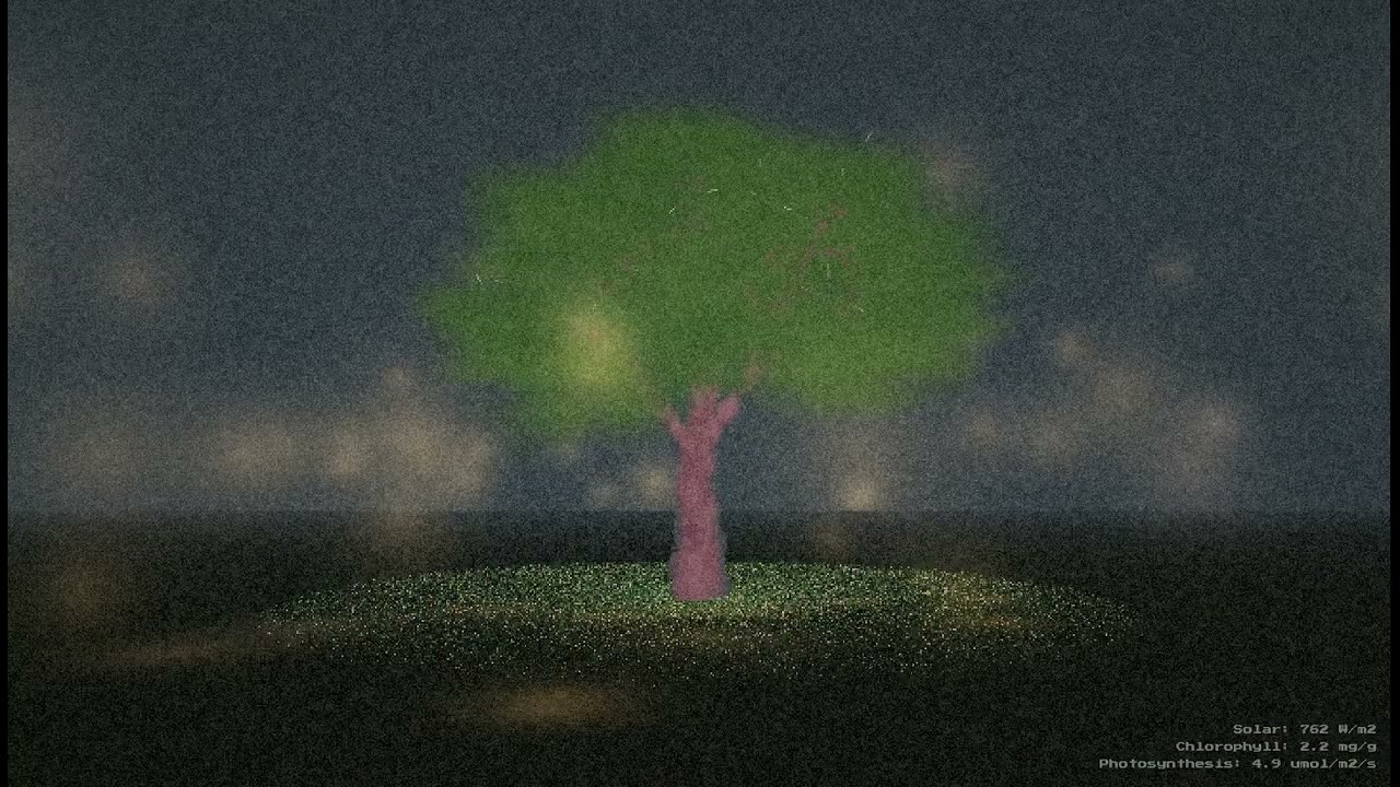 Chlorophyll — A Tree Breathing Through the Year (NYC Seasonal Study)
