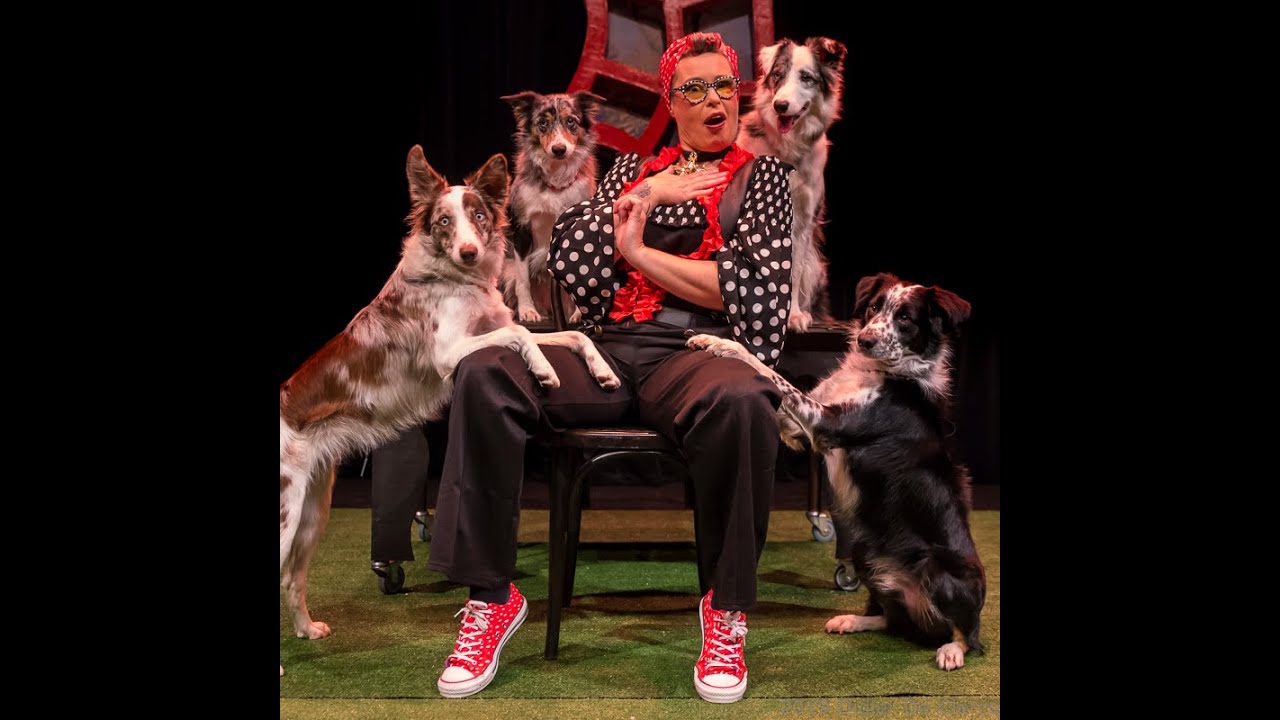 Les Acro-Pattes : &laquo; Un truc de OUaF &raquo; Teaser du spectacle vivant animalier jeune public.