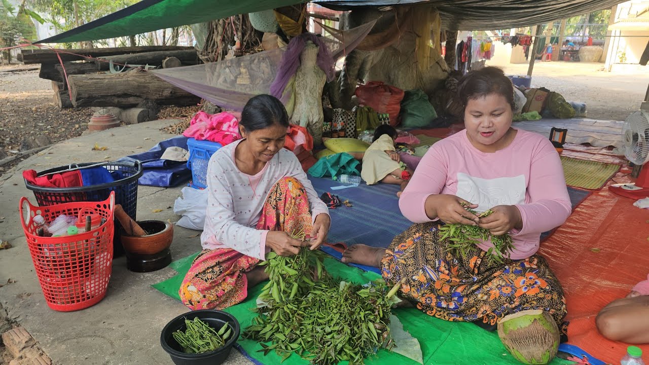 ជួបមីងភៀសសឹកកំពុងធ្វើម្ហូបហើយនិយាយរឿងក្នុងចិត្ត