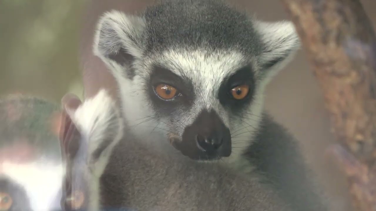 ZOO VRT BINGO PRIVLAČI SVE VIŠE POSJETILACA IZ BiH I REGIONA