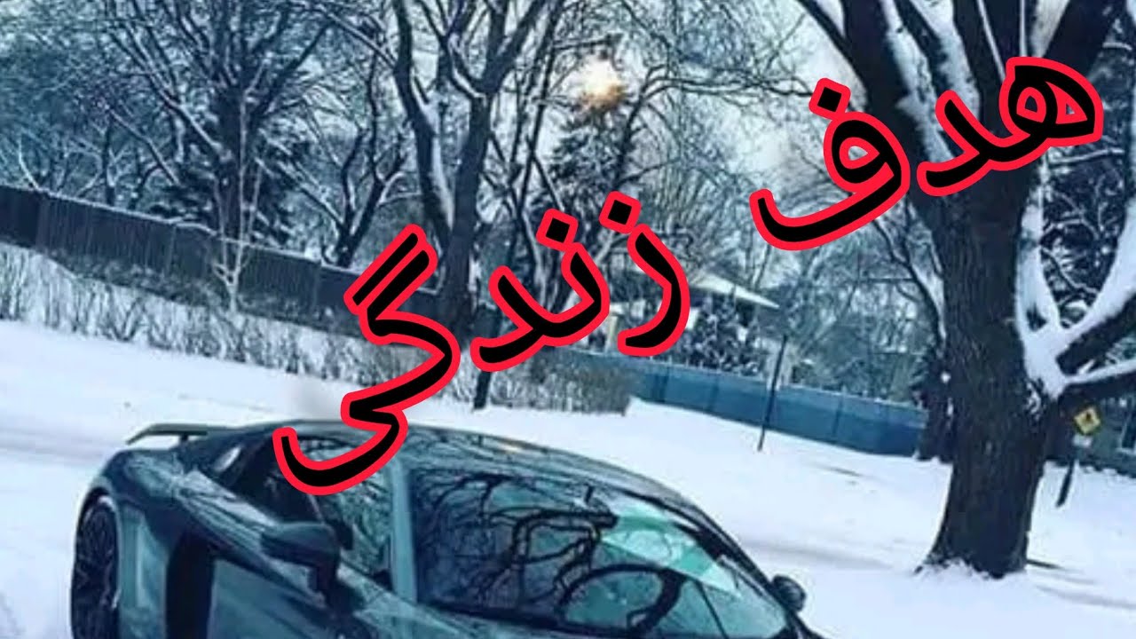 هدف زندگی چیست داکتر نقیب الله ذکی