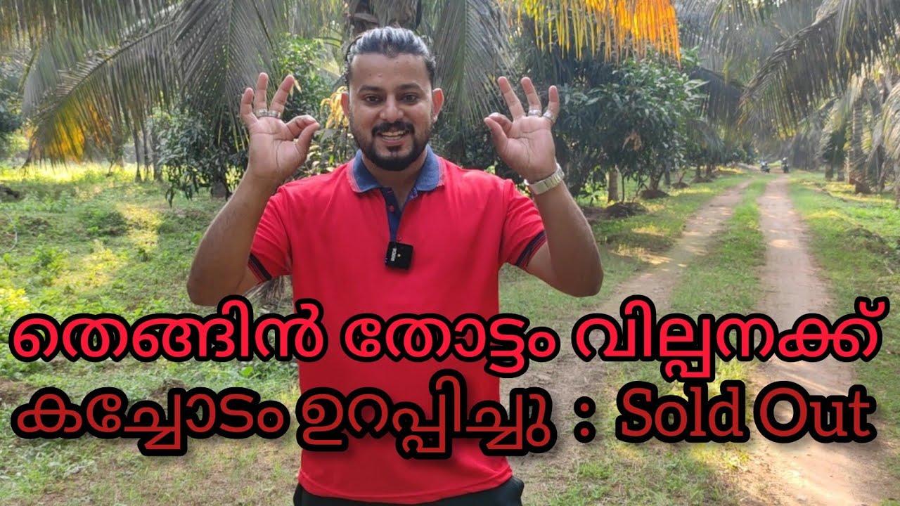 #Agreed#കച്ചോടം ഉറപ്പിച്ചു#Coconut plantation for sale#DJ തെങ്ങിൻ തോട്ടം വില്പനക്ക്#