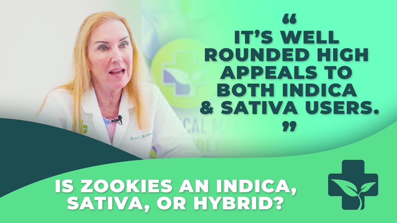 Indica, Sativa or Hybrid? Doctor Exposes Zookies Strain's True Identity