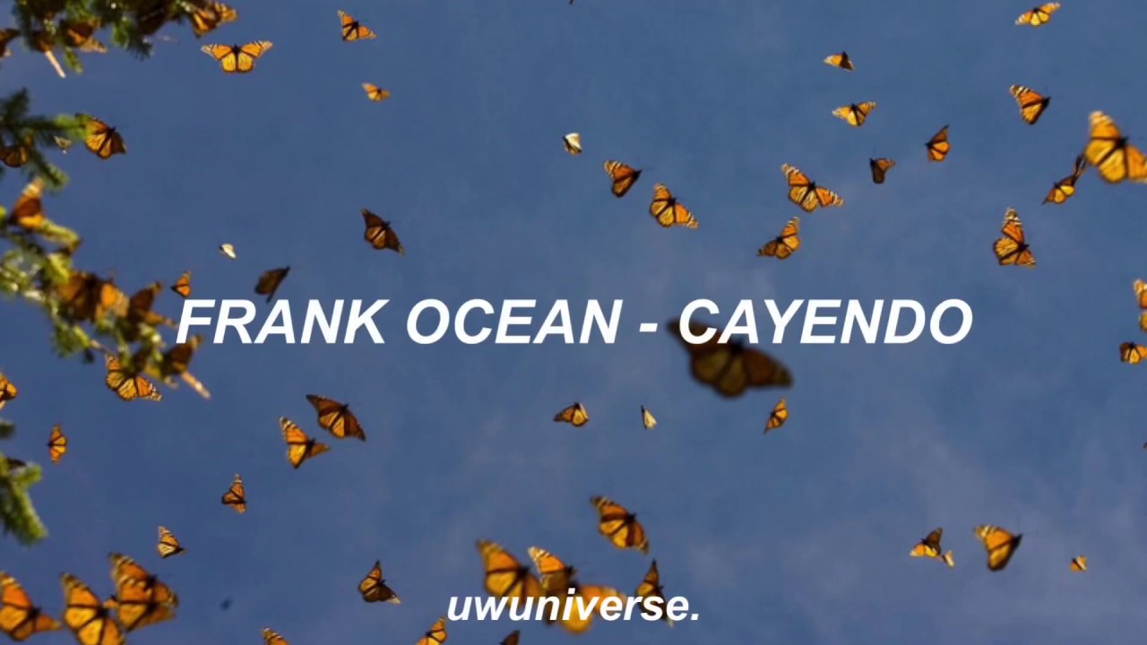 frank ocean - cayendo ✦ lyrics