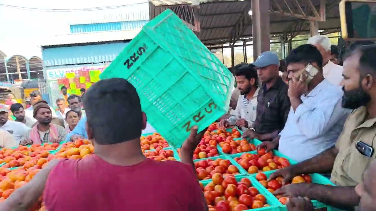 24/2/2026 n vaddahlli daily update market tamma 🍅 subscribe my channel like share comment please 🩵