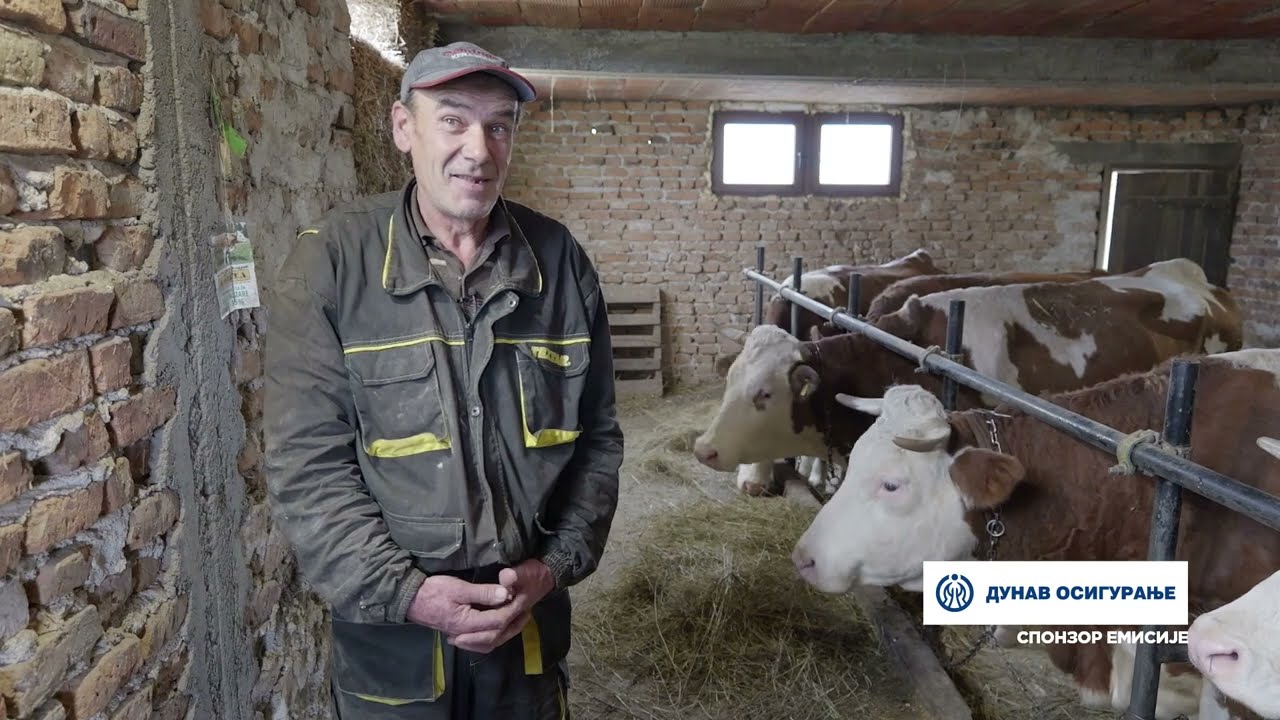 Naša priča ep. 434 21.12.2023. Duško Vuković, Srezojevci, govedarstvo, stočarstvo