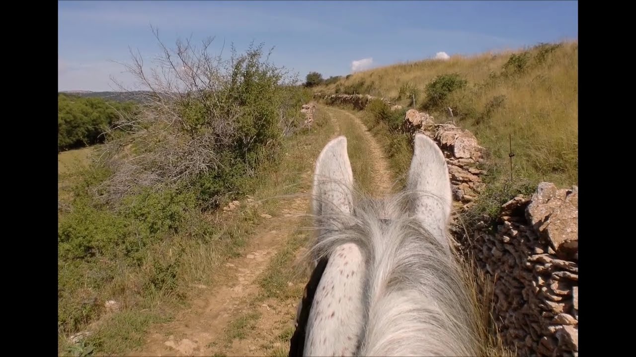 Ruta a Caballo por la sierra de Gúdar-Javalambre. Valdelinares, el municipio más alto de España