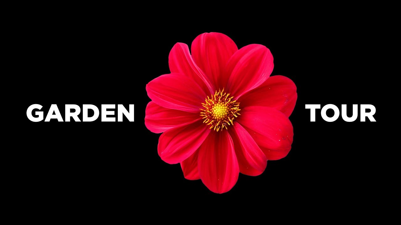 Garden Tour #GreenWay Garden #Malayalam Vlog