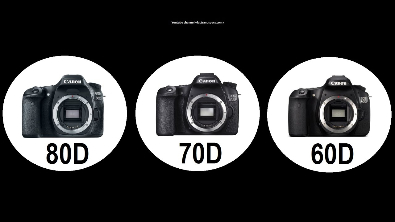 Canon 80D vs 70D vs 60D - differences and similarities