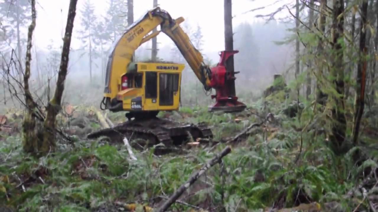 Track Feller Buncher Komatsu XT450
