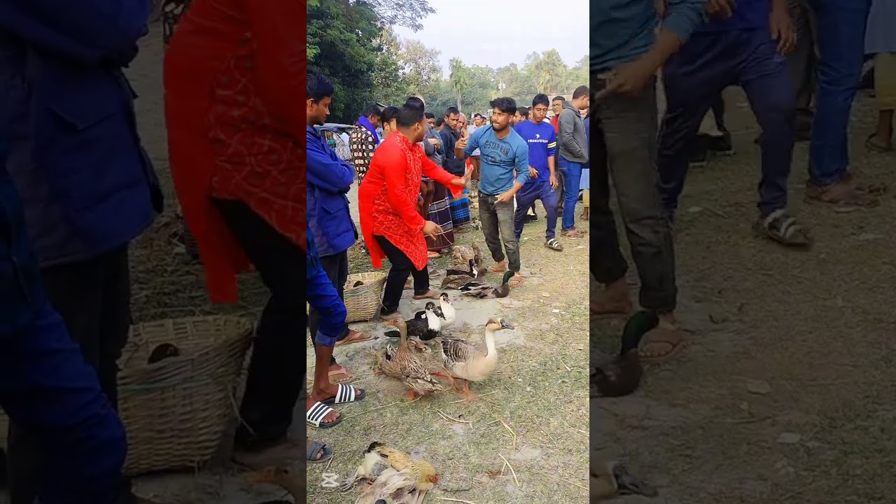 কাঁকর কান্দি বাজারের সেরা সেরা ভাইরাল ফানি ভিডিও 🤣🙆‍♂️😄😁😁😁
