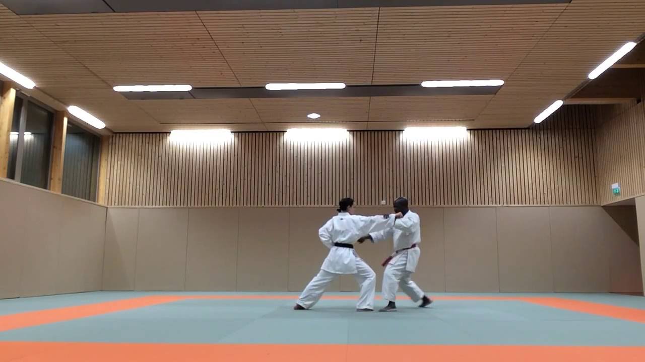 Karat&eacute; Shotokan : Exemple de Kihon pour le 6e Dan