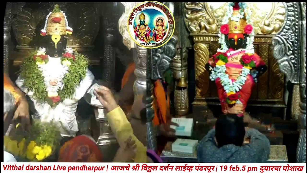 Vitthal darshan Live pandharpur | आजचे श्री विठ्ठल दर्शन लाईव्ह पंढरपूर | 19 feb.5 pm दुपारचा पोशाख 
