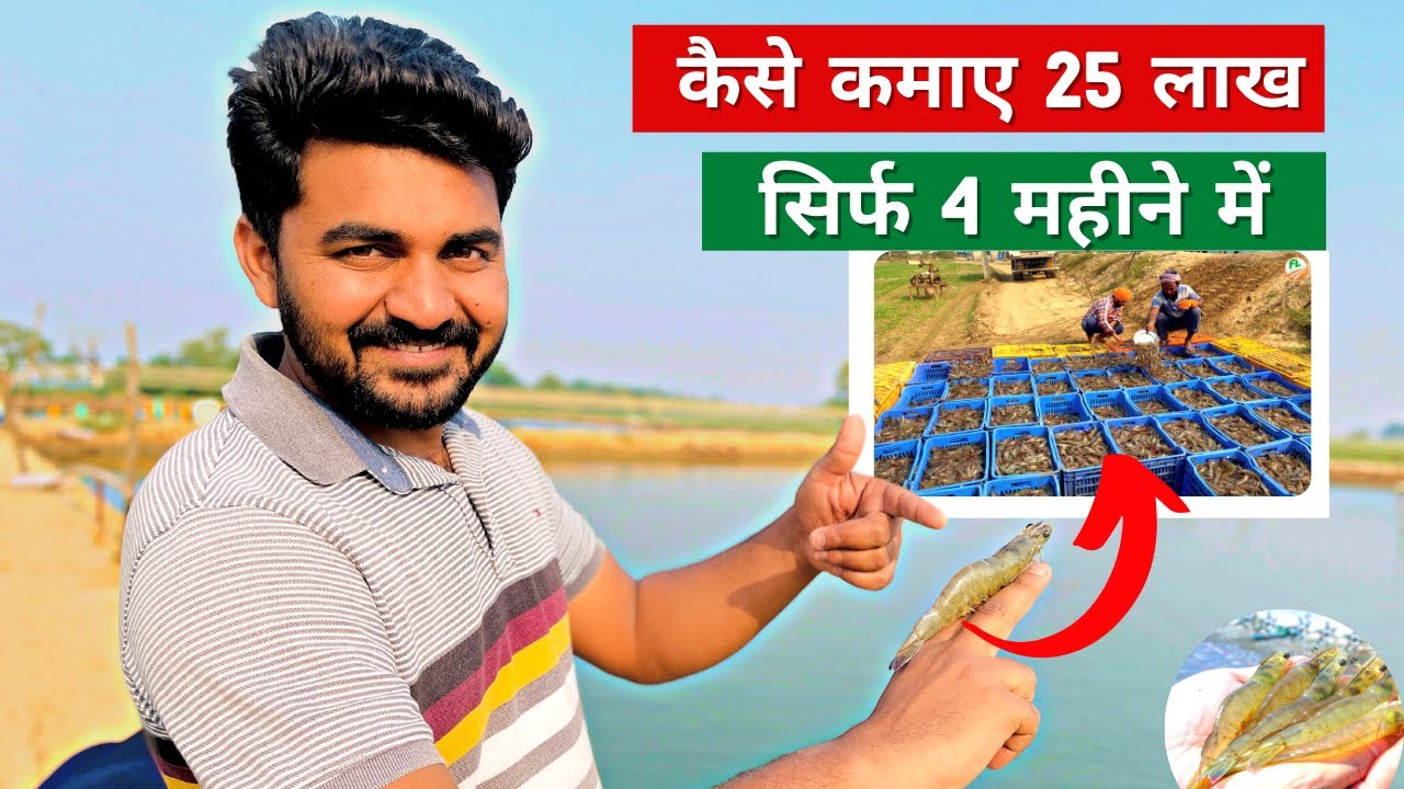 कैसे कमाए 25 लाख सिर्फ 4 महीने में Jhinga Shrimp Farming in India | kaise kare Jhinga Farm