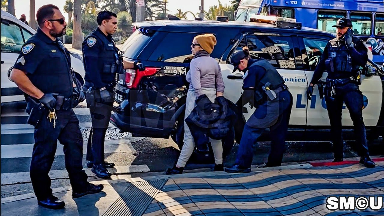 Santa Monica Police Arrest Woman with Warrant After Alleged Vodka Theft Incident