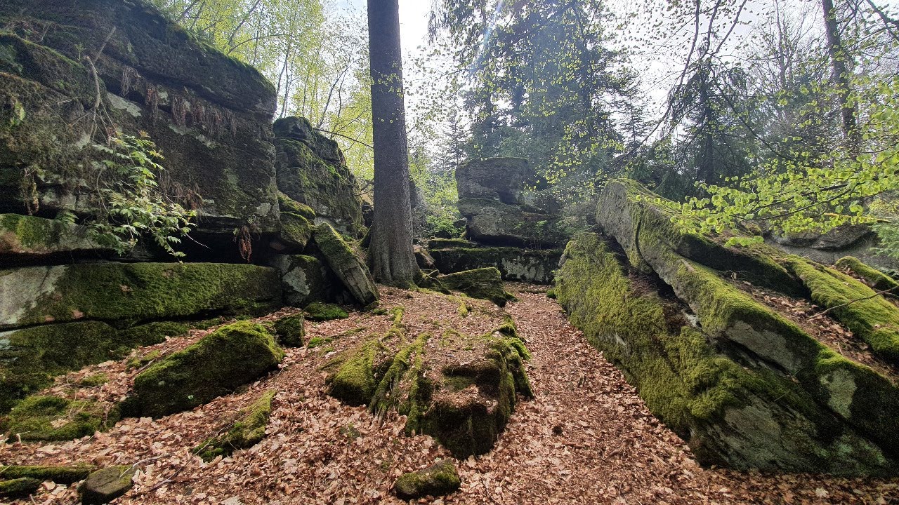 AUF DEN SPUREN DES HÖLZERLIPS