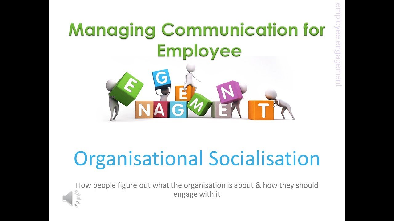 2-3 Organisational Socialisation
