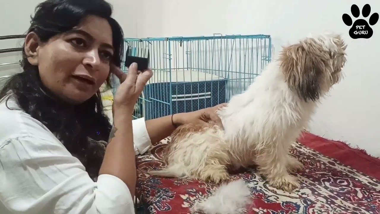 Dog grooming at home | Shih Tzu easy haircut trick at home | Grooming Kit & trimmer review