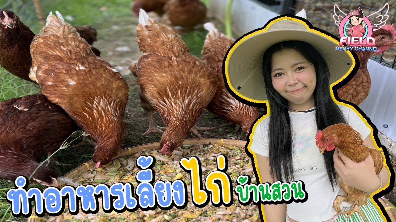 ทำอาหารเลี้ยง น้องไก่ ที่บ้านสวน Field Happy Channel
