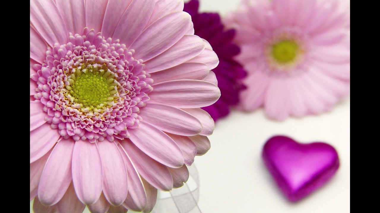 Psaume 68 : Cherchez Dieu, vous le humbles et votre cœur vivra