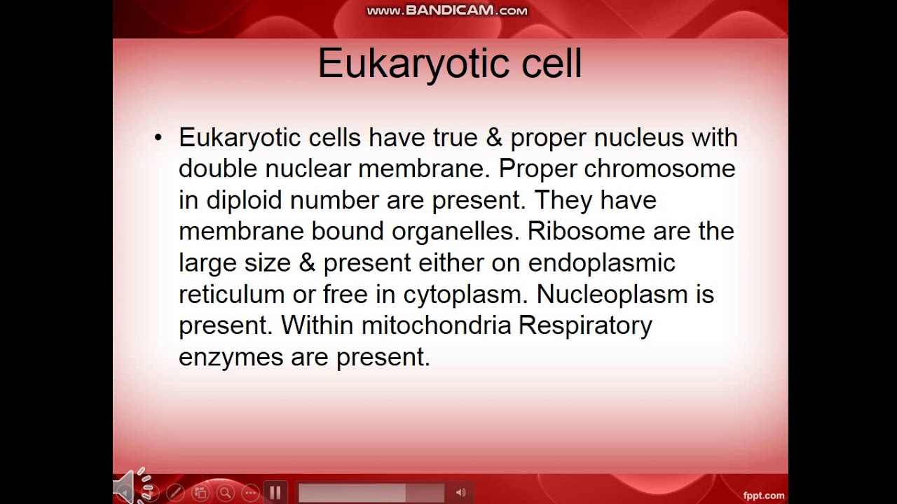 #SAChannel    Prokaryotic and Eukaryotic cells