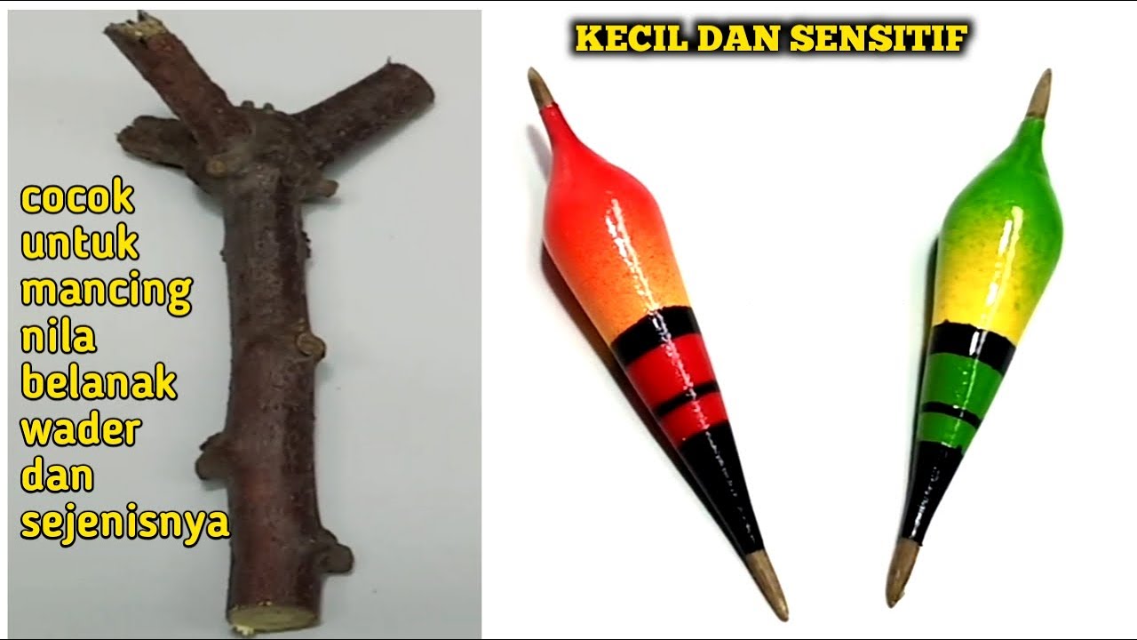 membuat pelampung syantik dari pohon ketela