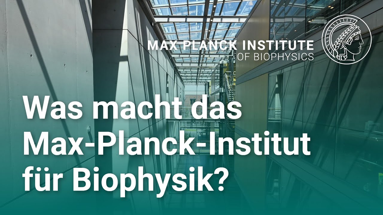Max-Planck-Institut für Biophysik | Eine Führung