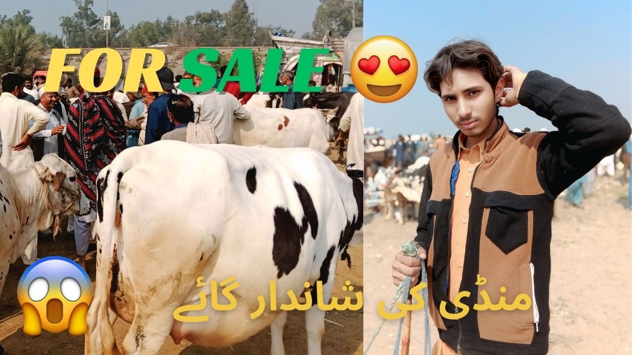 Today Visit Khushab Mandi😯 | Roza vs Garmi Kon Jita?🤫