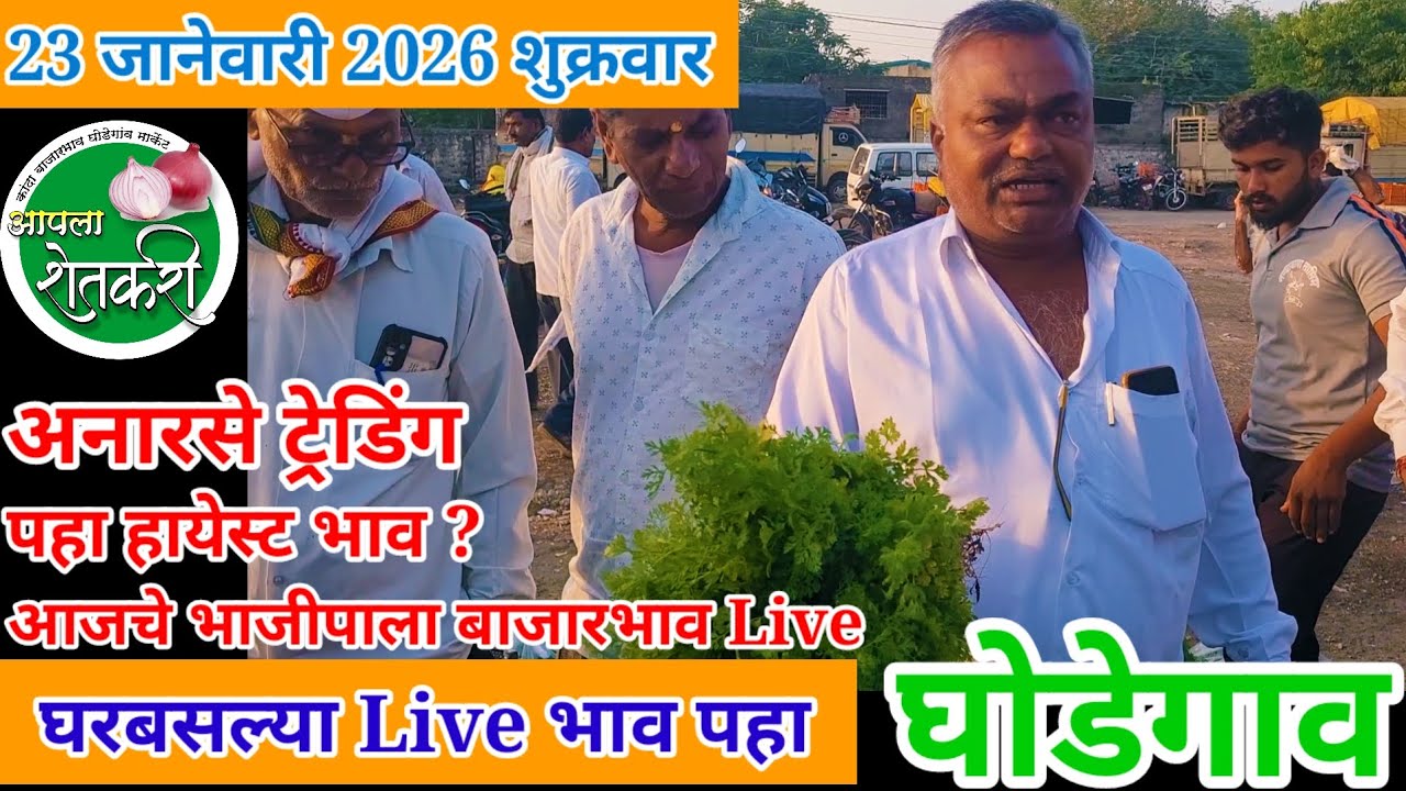23 जानेवारी 2026 शुक्रवार आजचे भाजीपाला बाजारभाव घोडेगाव बाजार!आजचे बाजार भाव bhajipala bajar today!